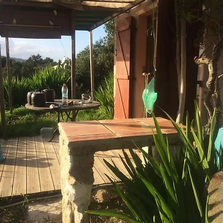 Rc D'un Cabanon Ecologique Naturiste Casa de Férias Île du Levant