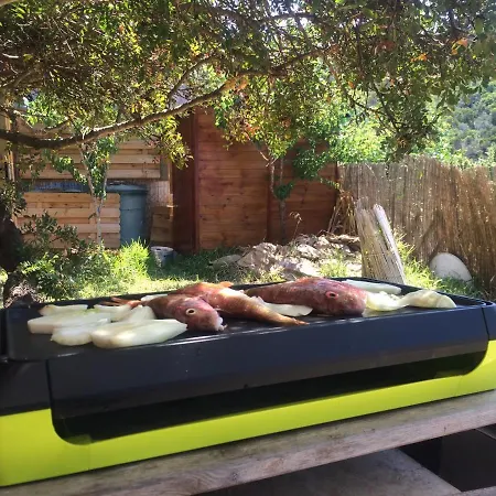 Rc D'un Cabanon Ecologique Naturiste * Ile du Levant