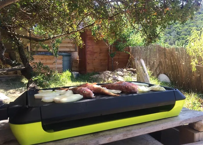 Rc D'un Cabanon Ecologique Naturiste * Île du Levant